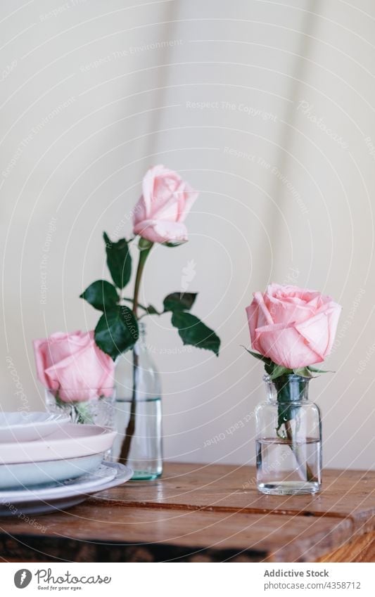 Pink natural roses on vase flower pink floral decoration bouquet glass blossom beauty nature white romantic romance summer color spring wooden surface table