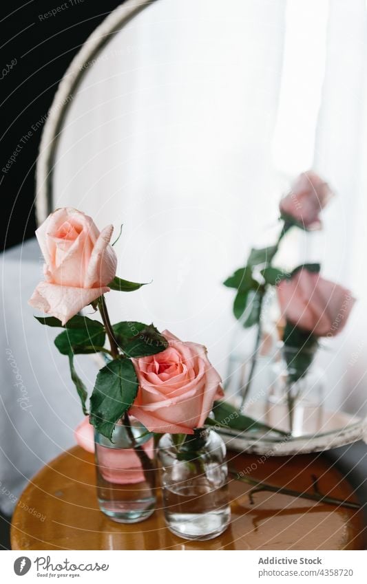 Pink natural roses on vase flower pink floral decoration bouquet glass blossom beauty nature white romantic romance summer color spring wooden table vintage