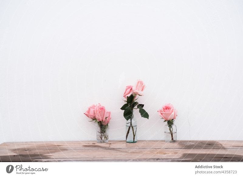 Pink natural roses on vase flower pink floral decoration bouquet glass blossom beauty nature white romantic romance summer color spring wooden surface table