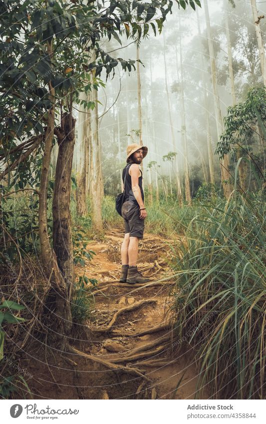 Traveling man standing in foggy tropical forest traveler mist summer exotic woods male nature vacation tourism tourist hat explore adventure tree holiday