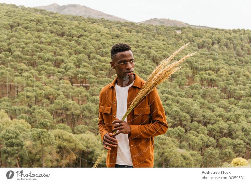 Black man with bunch of wheat in nature natural dried organic agriculture plant summer male ethnic black african american serious thoughtful pensive trendy guy