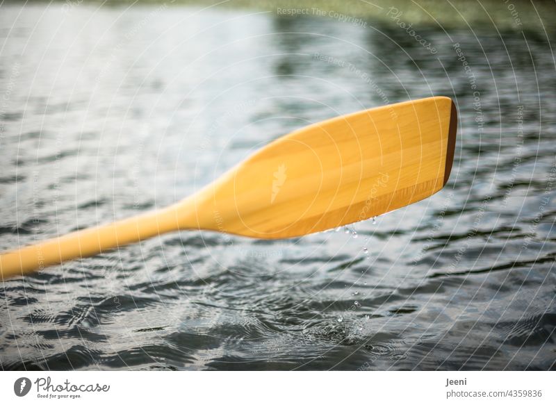 A paddle comes out of the water while canoeing, the drops of water fall down Paddle Paddling Wood wooden paddle Canoe Canoe trip Water Aquatics Drops of water