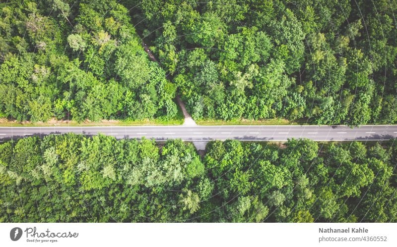 Road leading through summer forest from bird's eye view drone Bird's-eye view Aerial photograph Colour photo Nature landscape Landscape Summer Green Forest