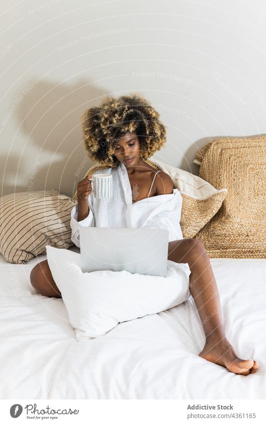 Black woman drinking coffee while sitting on bed with laptop using morning comfort bedroom chill female attractive apartment curly hair online gadget afro