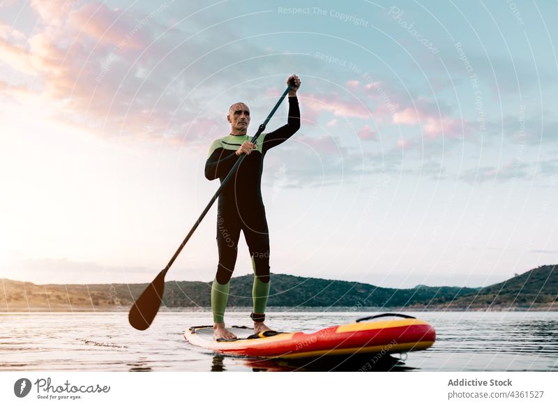 Man floating on paddleboard in sea surfer man sup board sunset summer male water activity ocean evening vacation calm focus surfboard sport concentrated surfing