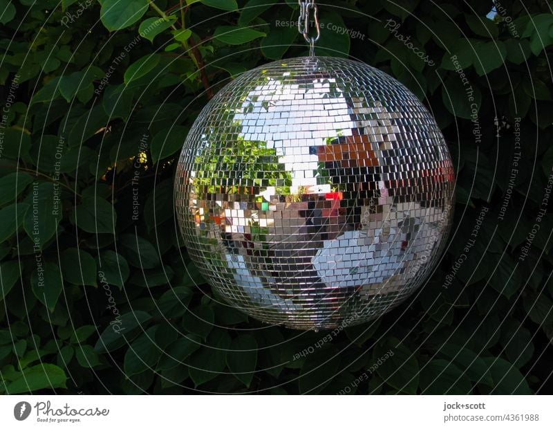 Disco till the lights come on Disco ball Club daylight Feasts & Celebrations Mirror Mirror ball Point of light Lifestyle Decoration Reflection leaves Party