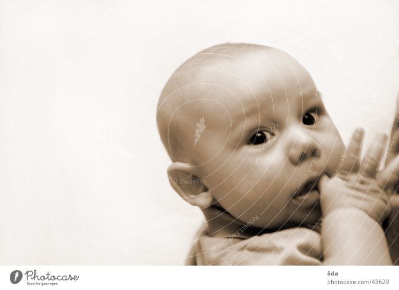 What are you looking at? Child Toddler Baby Hand Face Eyes Head Looking Sepia