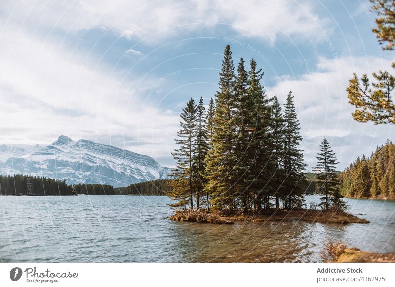 Islet with coniferous trees in lake islet nature shore water growth sky cloudy alberta canada banff national park landscape scenic countryside season forest