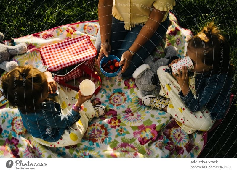 From above cheerful mother and kids having picnic in park together summer happy love daughter sibling drink cup child mom relationship little children sister