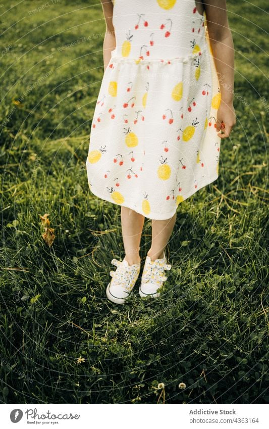 Little girl in summer dress standing on green grass kid nature child little shoe park meadow cute childhood style female season floral footwear fashion