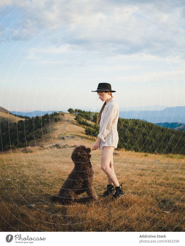 Woman with fluffy dog on meadow woman labradoodle friend animal pet owner female canine stand mountain together loyal breed nature companion countryside