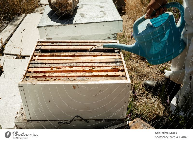 Beekeeper pouring water into beehive box beekeeper apiary watering can tool agriculture liquid work farm person countryside job occupation professional rural