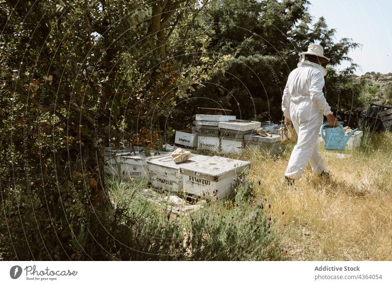 Beekeeper working in apiary with beehives beekeeper agriculture inspect check summer protect professional farm person nature countryside job occupation examine