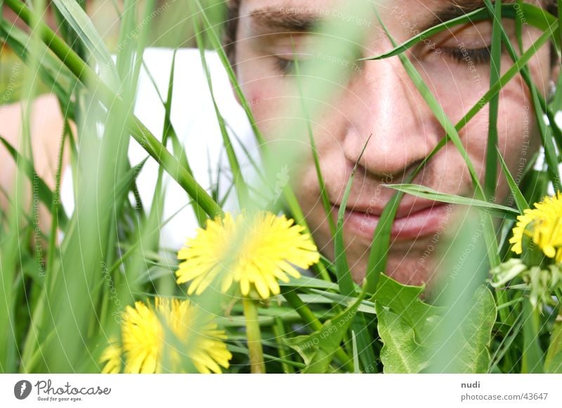 Smell this... Man Flower Grass Green Yellow Meadow Closed Face Eyes Lawn Hair and hairstyles Lie Nature Laughter