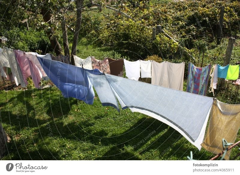 Clotheslines in the sunny garden clothesline Laundry Washing day Hang up Photos of everyday life Living or residing Clean Housekeeping Country life fresh air