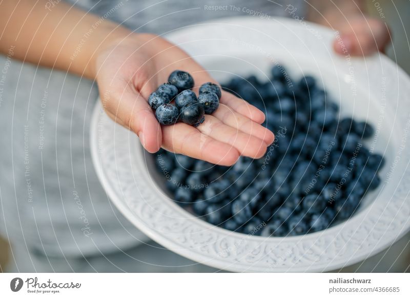 blueberries Blueberry Delicious Juicy Healthy Healthy Eating healthy snack blueberry cute luscious Food Food photograph Berries Hand Fruit Colour photo Fresh