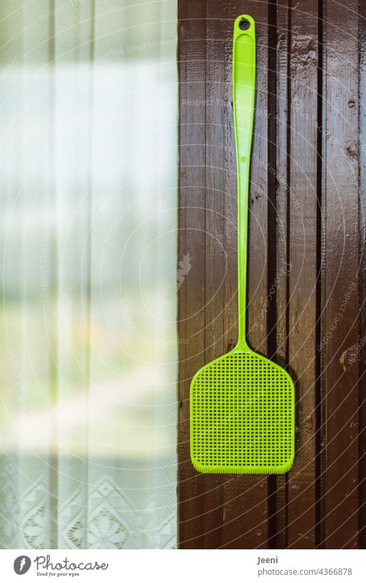 Fly swatter in the allotment garden fly swats Flying Plague of mosquitos Fly plague hummer mosquitoes Mosquito repellent Insect Animal Blow Beat dead