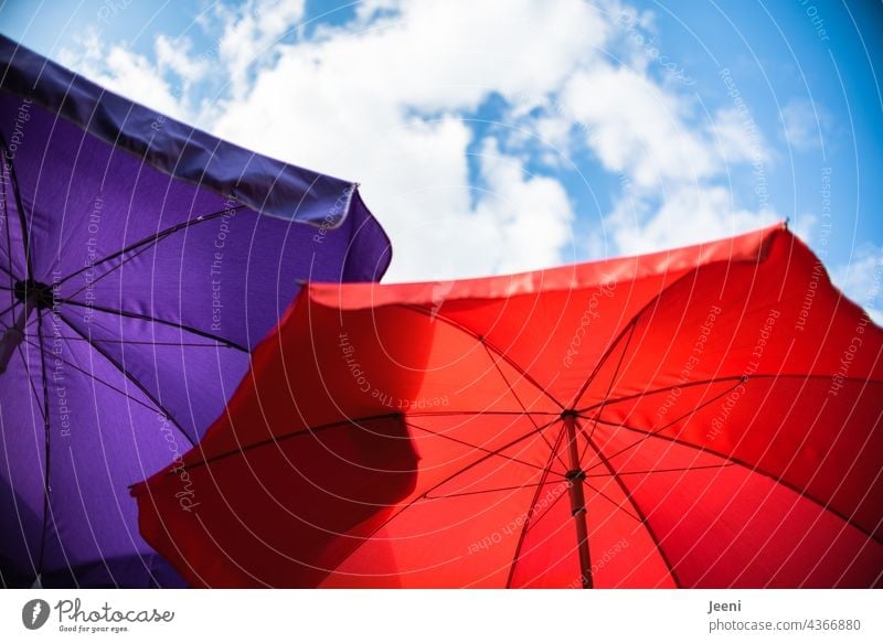 Two parasols under a slightly cloudy sky Sunshade two Red purple Violet Sky Blue Blue sky Clouds White Upward Summer Sunlight sun protection Umbrellas
