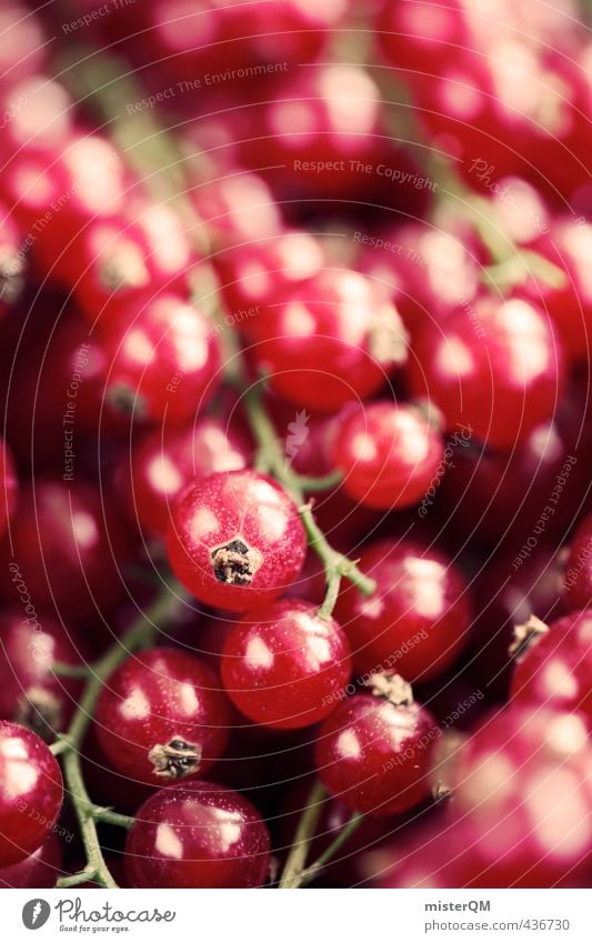 Currant red. Food Esthetic Contentment Redcurrant Berries Many Harvest Fruit Healthy Healthy Eating Vitamin-rich Vegetarian diet Colour photo Subdued colour