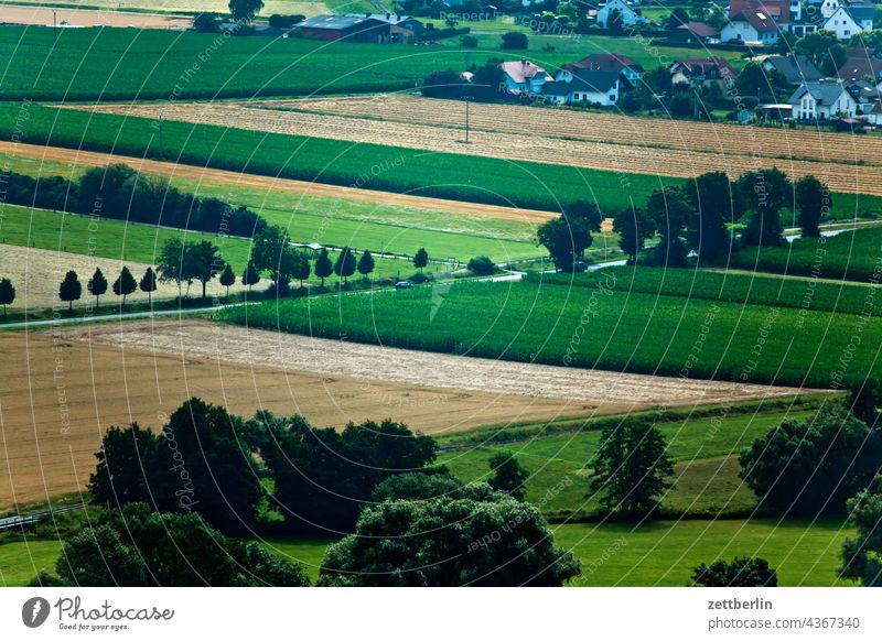 Landscape under the Amöneburg Agriculture acre Field Boundary marking surface arable land Street Avenue Tree Nature outlook farsightedness Remote View Germany