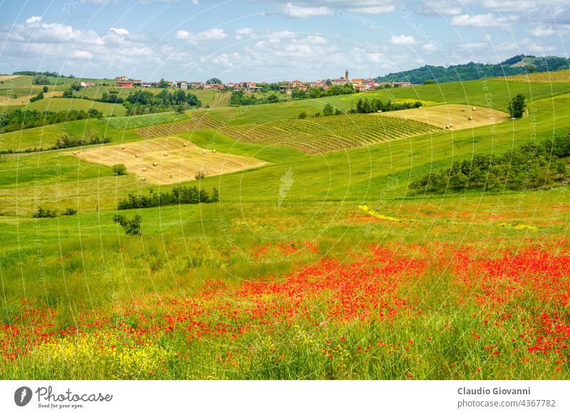Landscape on the Tortona hills at springtime. Alessandria Cerreto Grue Colli Tortonesi Europe Italy Piedmont color day field green house landscape nature