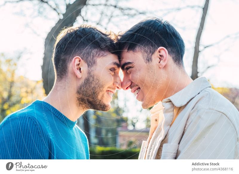 Loving gay couple standing face to face in park men homosexual lgbt love touch nose cheerful male relationship happy fondness together boyfriend smile romantic