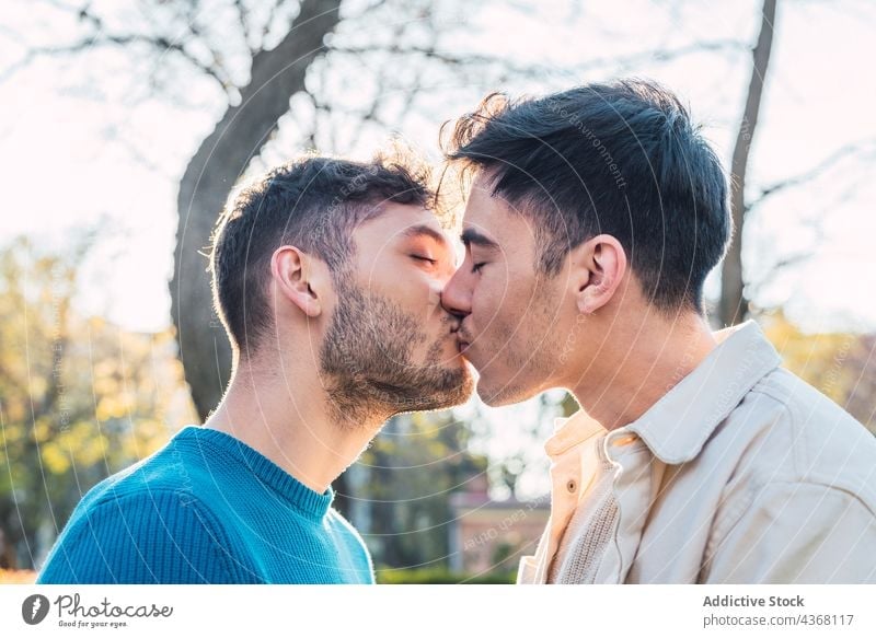 Loving gay couple standing face to face in park kissing men homosexual lgbt love cheerful male relationship happy fondness together boyfriend smile romantic