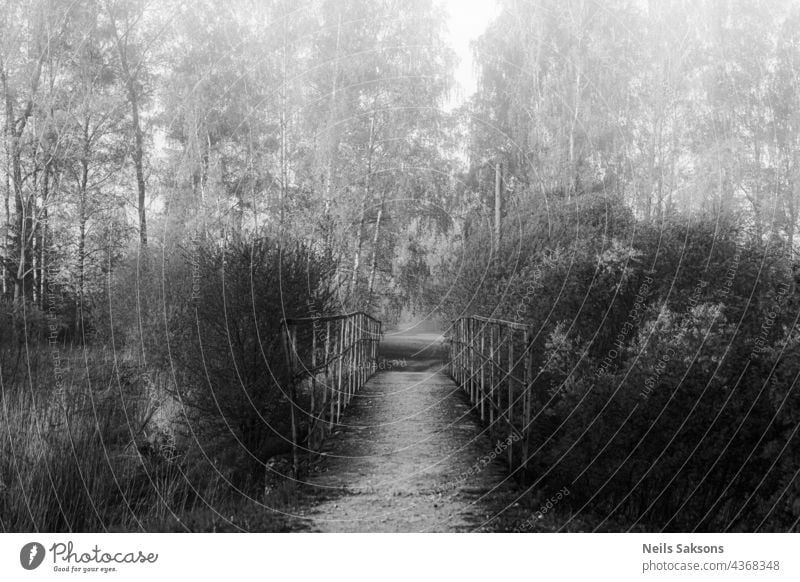 footbridge in the fog in misty spring morning, bushes, trees in forest in distance. Black and white obscure droomy version abandoned abstract architecture
