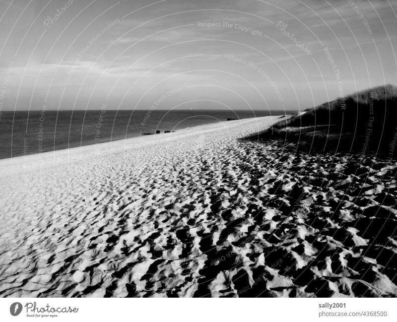 North Sea beach Beach Ocean Tracks Horizon dunes coast Vacation & Travel Sand Landscape Nature Relaxation North Sea coast duene Island Sandy beach ä