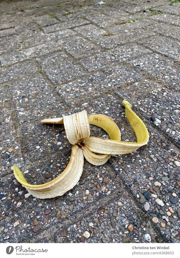 Attention slippery... Carelessly discarded banana peel lies on a sidewalk... Banana skin jettisoned Slippery surface Dangerous Accident off Paving stone Lie
