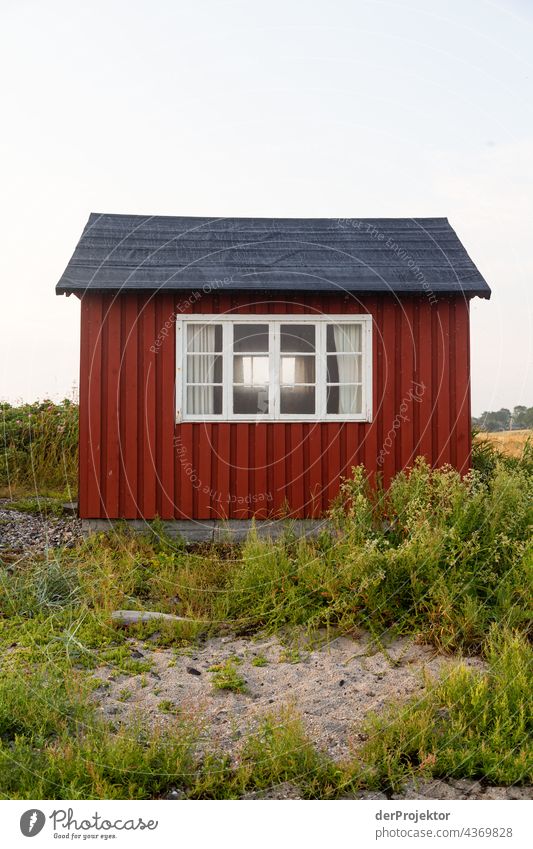 Beach house on the hygge island Ærø in Denmark VII Wooden house Scandinavia Loneliness Idyll North travel Sand Europe coast Landscape Deserted Dream house