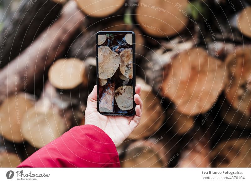 unrecognizable woman hand taking picture with mobile phone of wooden trunks during winter or autumn season. Lifestyle and nature forest technology internet