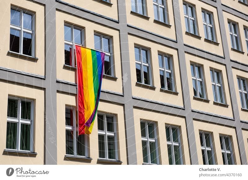 rainbow flag Facade Building Glazed facade House (Residential Structure) Exterior shot Manmade structures variety Wall (barrier) Window lines Colour photo