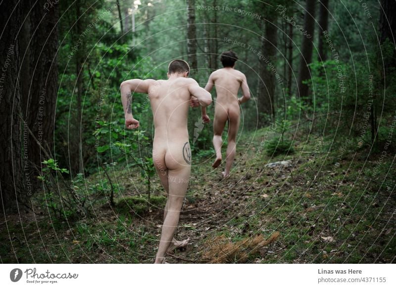 These woods have seen a lot of naked men. Running all crazy in the dark green forest on fine summer afternoons. The kids are all wild. nude boys wild boys