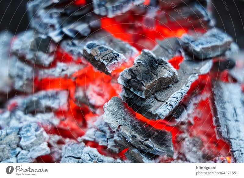 The glow Embers Hot ardor Fire Wood ash Burn Fireplace Dangerous Warmth Glow Exterior shot Deserted Blaze Flame Colour photo Light Red Black Incandescent