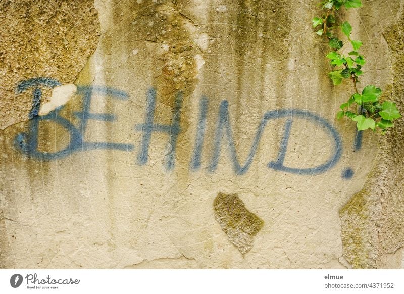 BEHIND ! is written in big blue letters on the wall overgrown with ivy. handicapped person Preposition behind English Backward back there bottom Flip side