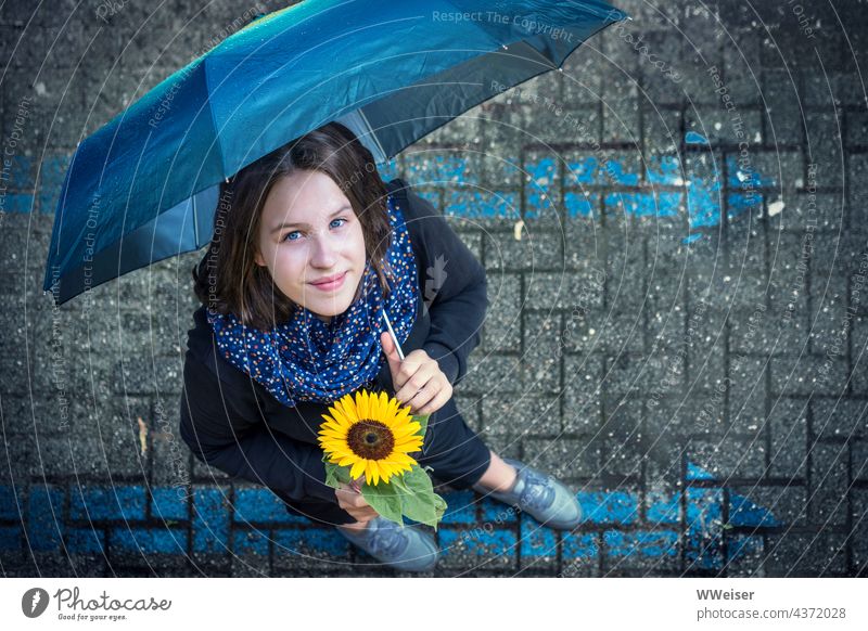 When the rainy autumn comes, it is good to have a private sunshine Rain Umbrella Girl Young woman Sunflower Blue Yellow Flower top view person Street Smiling
