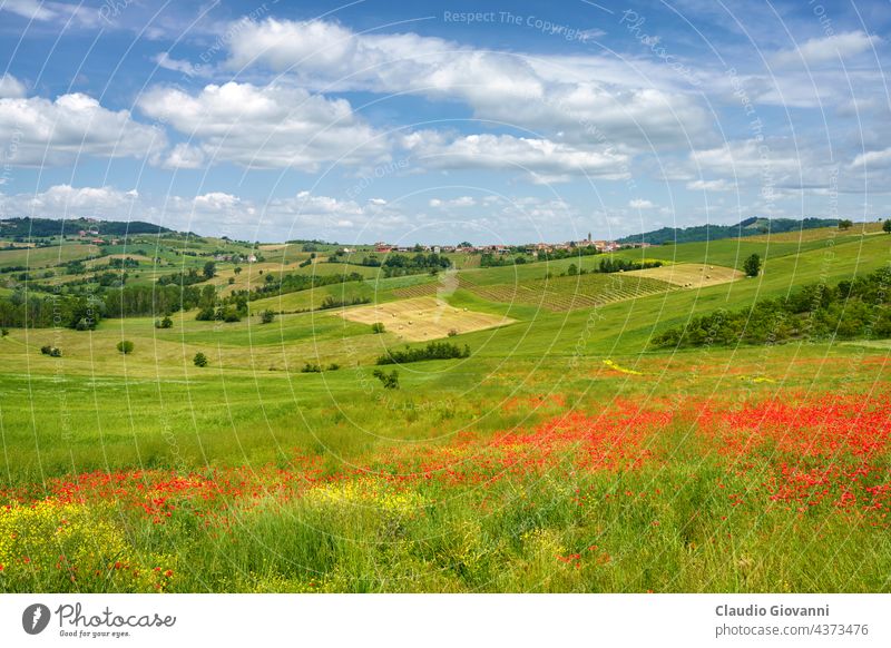 Landscape on the Tortona hills at springtime. Alessandria Cerreto Grue Colli Tortonesi Europe Italy Piedmont color day field green house landscape nature