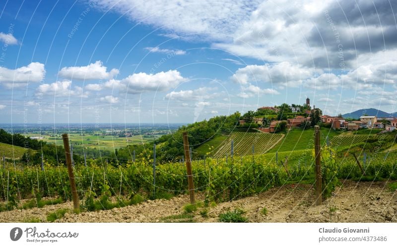 Landscape on the Tortona hills at springtime. View of Monleale Alessandria Colli Tortonesi Europe Italy Piedmont Volpedo color day field green house landscape