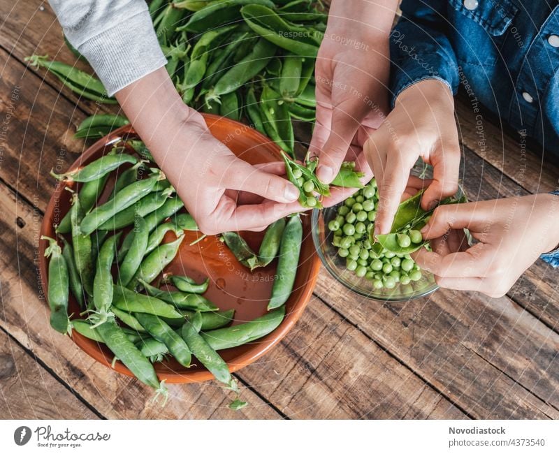 two kids removing peas from their pods, only hands are shown organic vegetable additional harvest plant bean nutrition open green healthy ingredient food