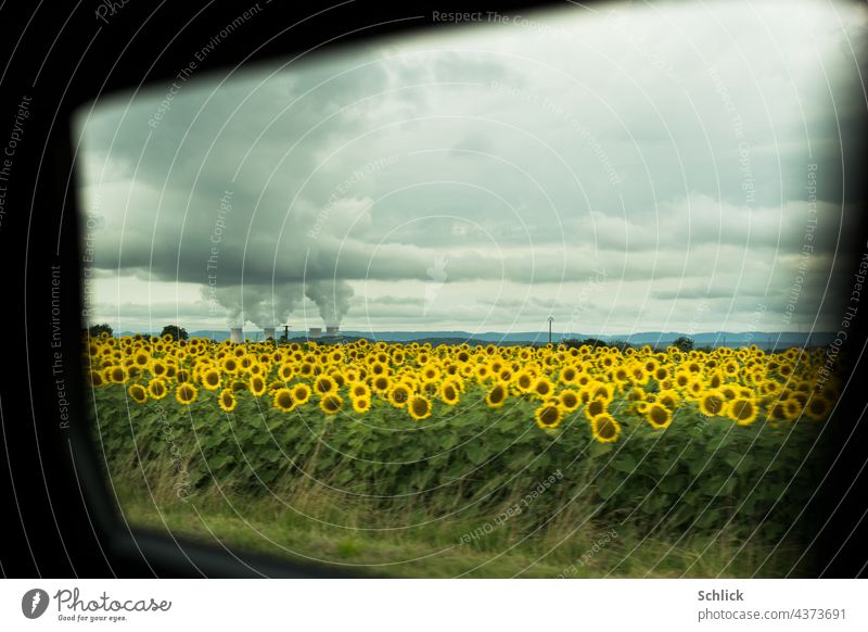 Optimism - field of sunflowers in front of a nuclear power plant releasing threatening clouds seen through a car window - quickly away! Nuclear Power Plant