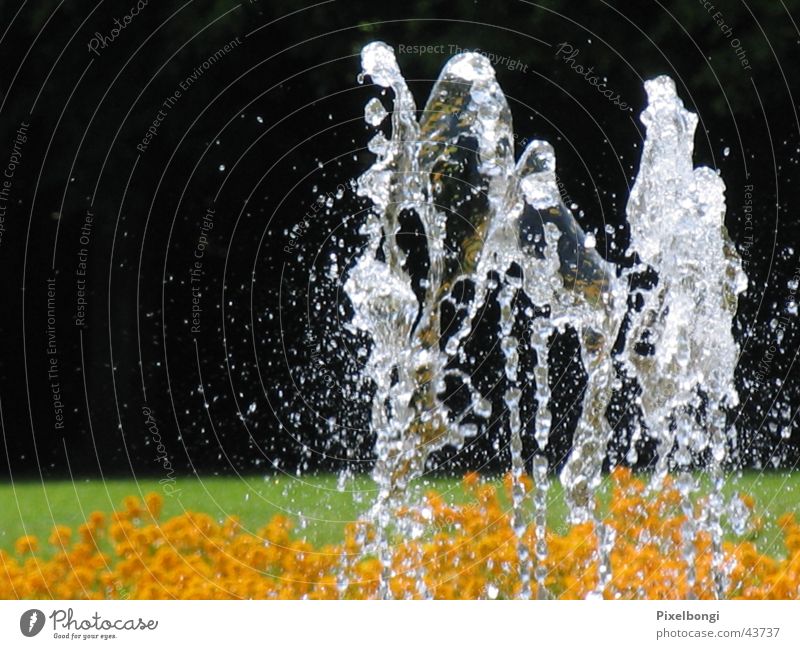 water ballet Summer Refreshment Fountain dancing water