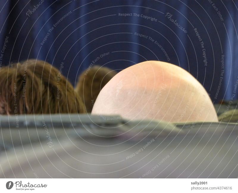 jutting Bald or shaved head Back of the head Shaven hairstyle Egg-shaped In the plane Hair and hairstyles Head Man Human being Skin Masculine Rear view
