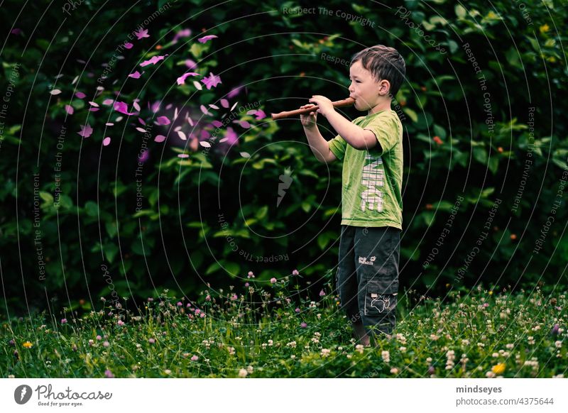 Boy plays magic flute Flute Music sound Green Garden Noises Magic enchanting Make music Leisure and hobbies Boy (child) Infancy fantasy Dream Musical instrument