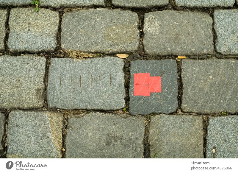 The other day in Nuremberg...marked paving stone Paving stone Places Notches lines Deserted Structures and shapes Gray Red Tracks Stone