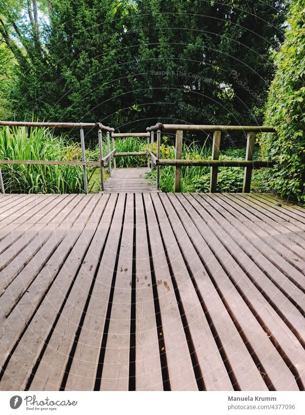 View of a footbridge Footbridge Bridge Wood Deserted Exterior shot Wooden board Lanes & trails Nature Landscape Trip