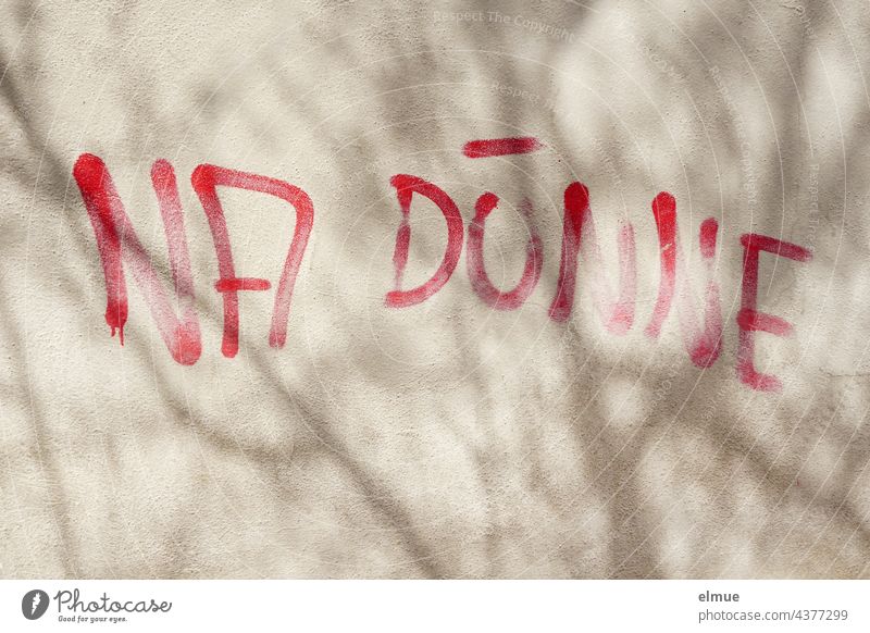 NA DÜNNE is written in red capital letters on a grey wall with tree shade / graffito / bullying Thin na thin Graffito Graffiti writing Red Wall (building)