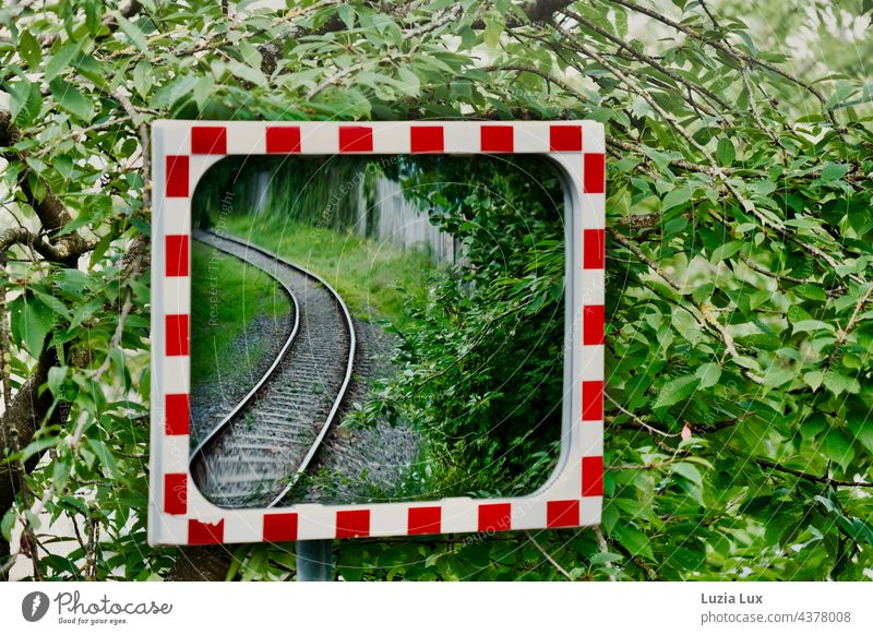Tracks in the mirror, around it a lot of green rails Railroad Commuter trains Railroad tracks foliage Green red white Rail transport Track bed Train travel