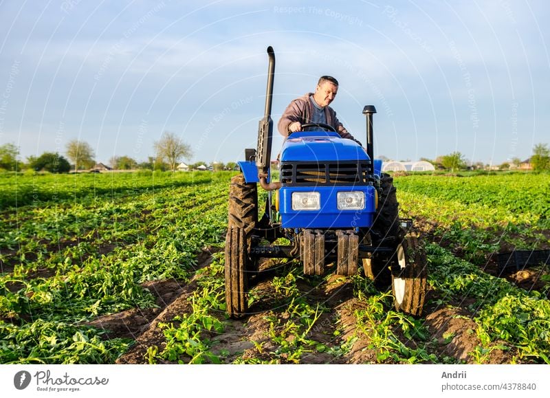 The farmer rides towards on farm field. Harvesting crops campaign, earthworks. Agro industry, agribusiness. Farming, agriculture. Harvesting potatoes in early spring. Countryside farmland.
