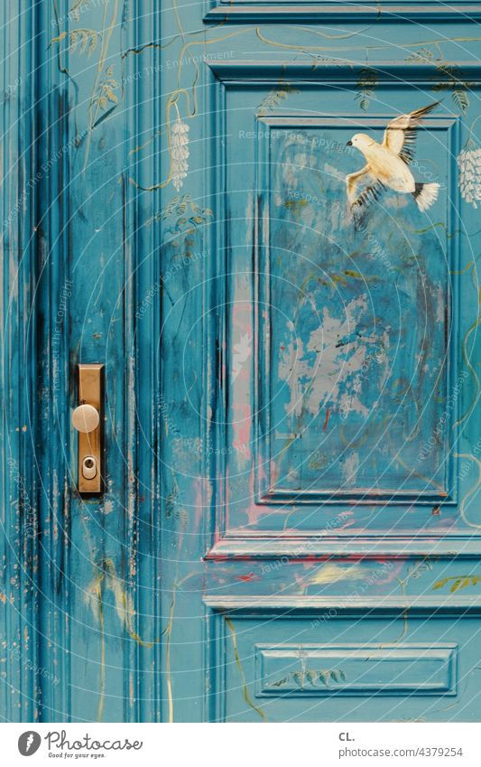 painted wooden door Blue Wood Bird Peace Wooden door Dove of peace Painted Closed door handle Door handle Creativity Pigeon Colour painting Lock Freedom